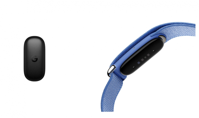 Fitbit Air капсула