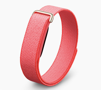 Fitbit Air