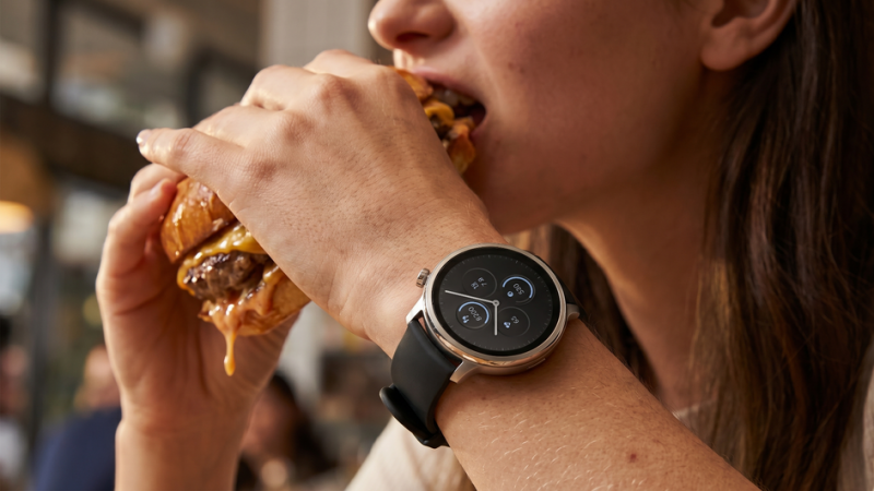 Karada Mate Watch