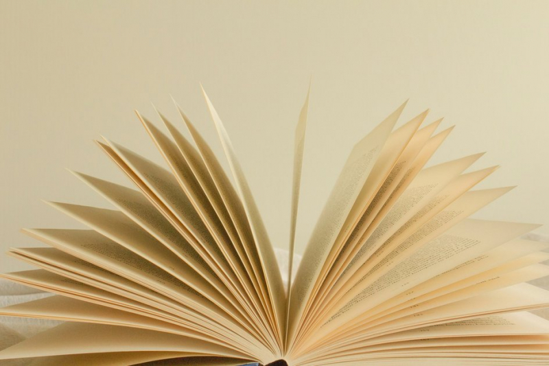 страница книги