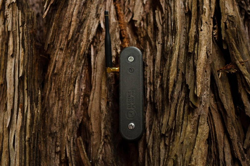 Electric Plant
